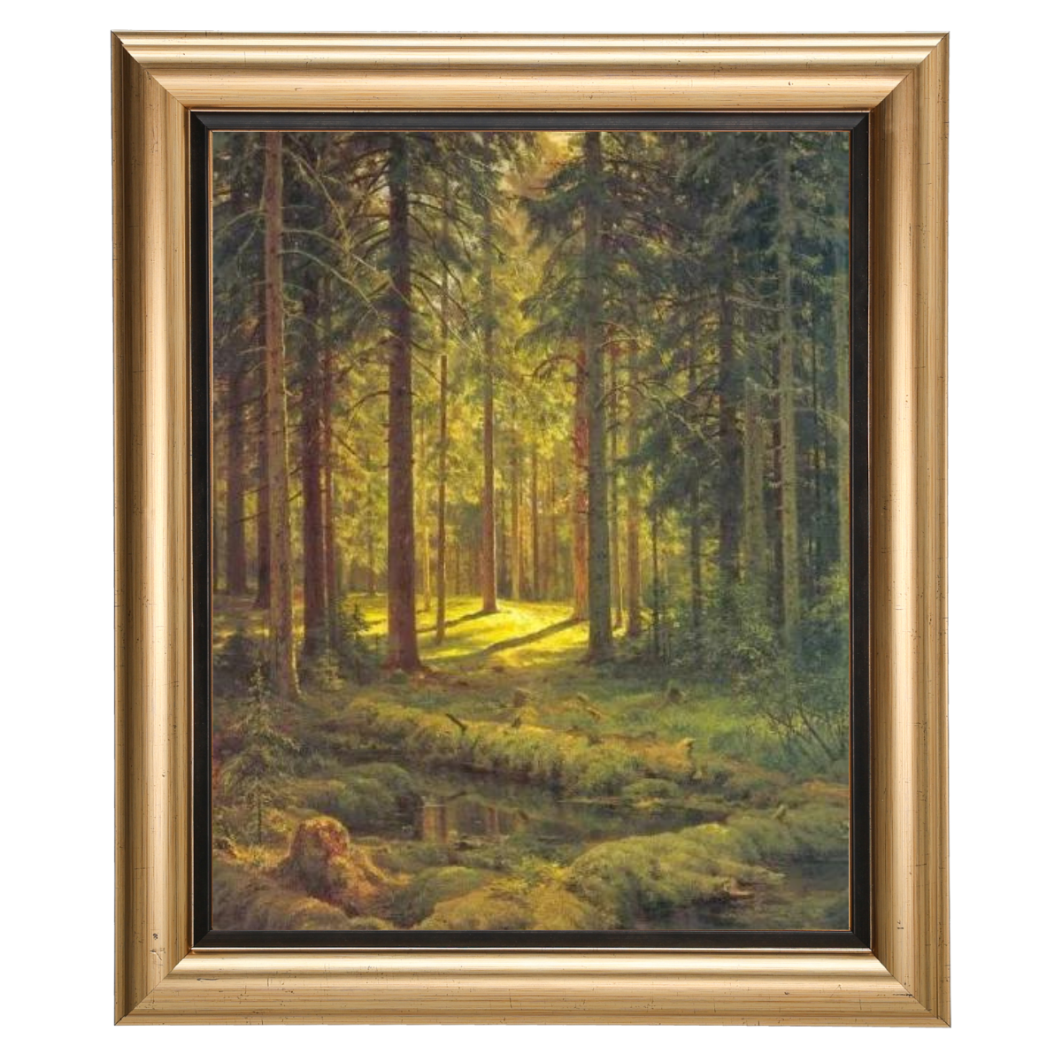 A Coniferous Forest. Sunny Day