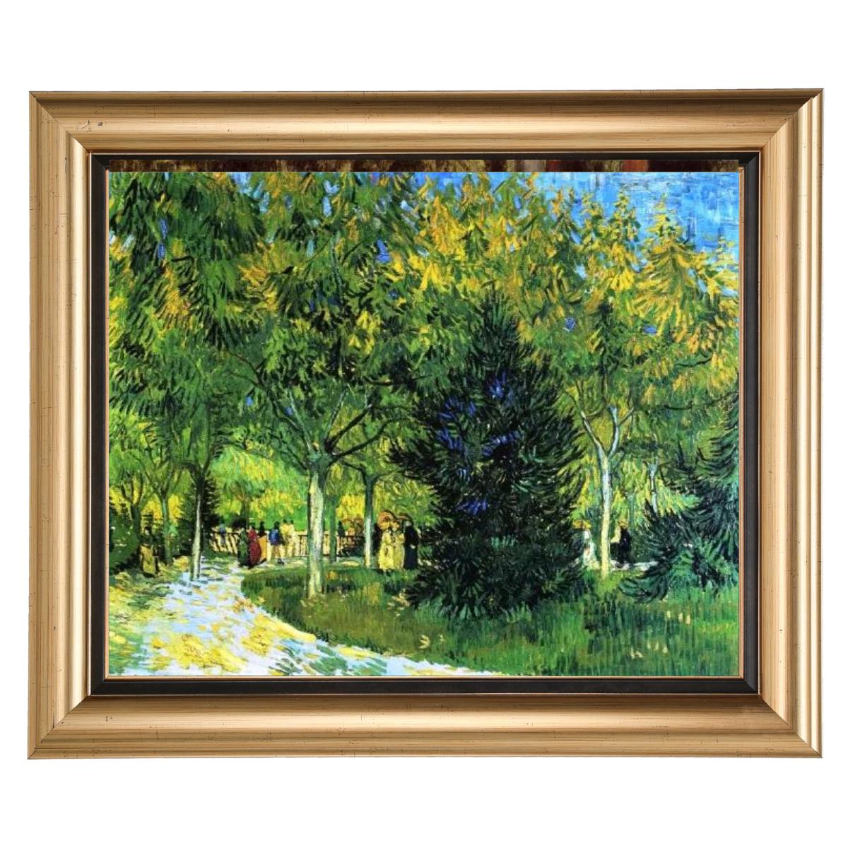 Avenue in the Park