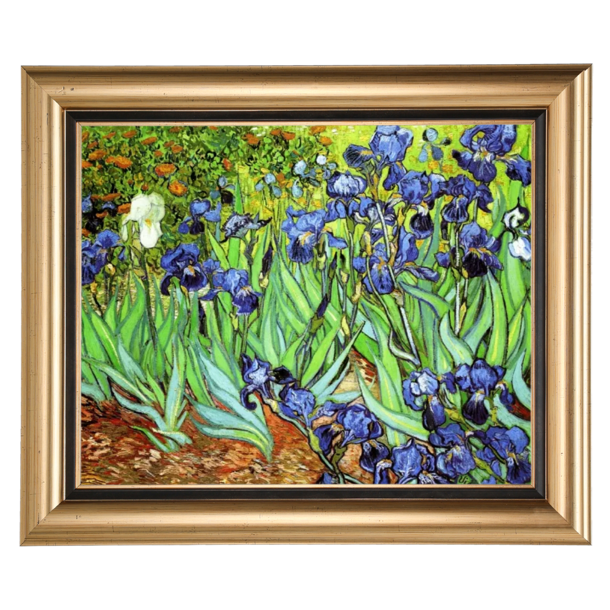 Irises II- Floral Wall Art Prints Decor For Living Room