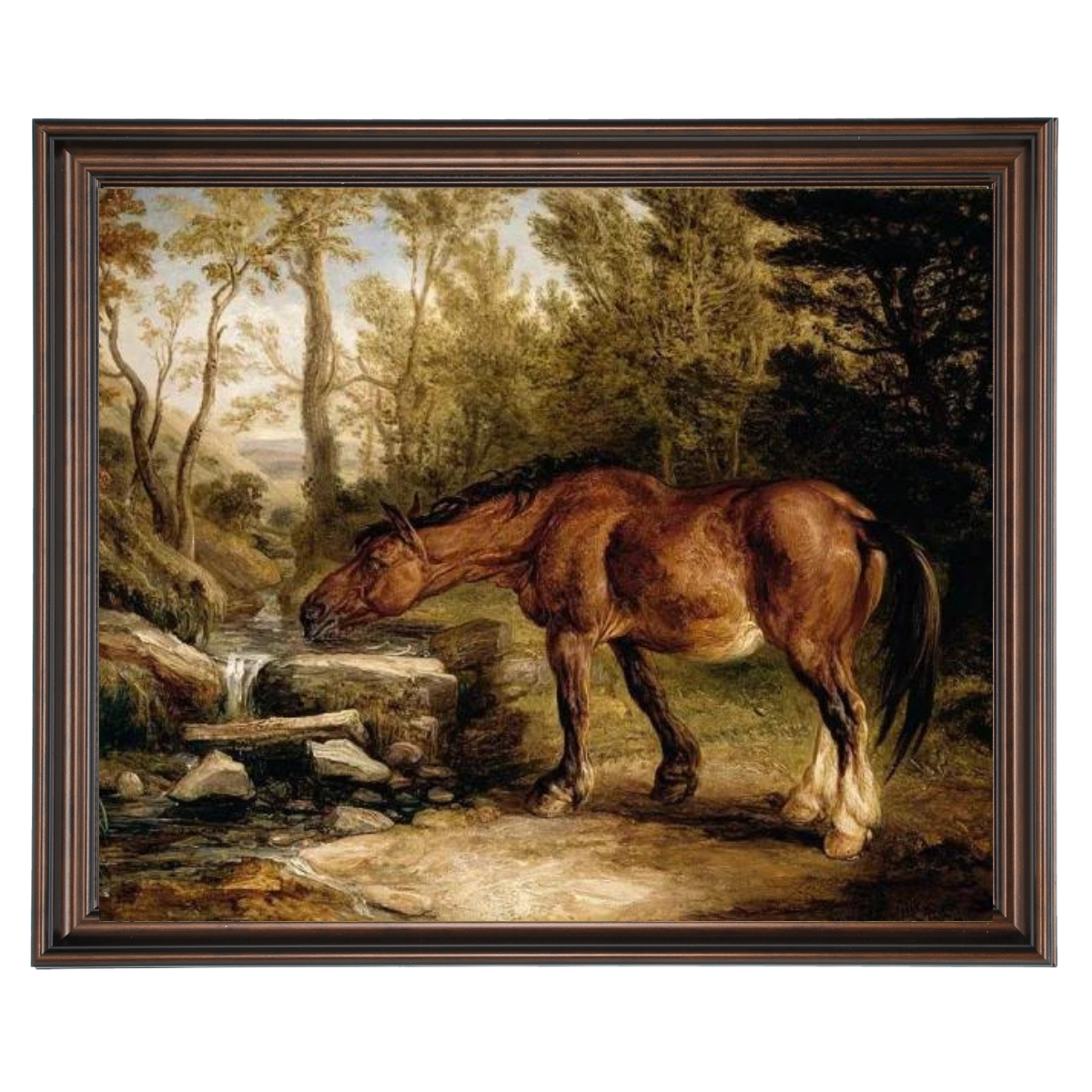 A Horse Drinking at a Stream