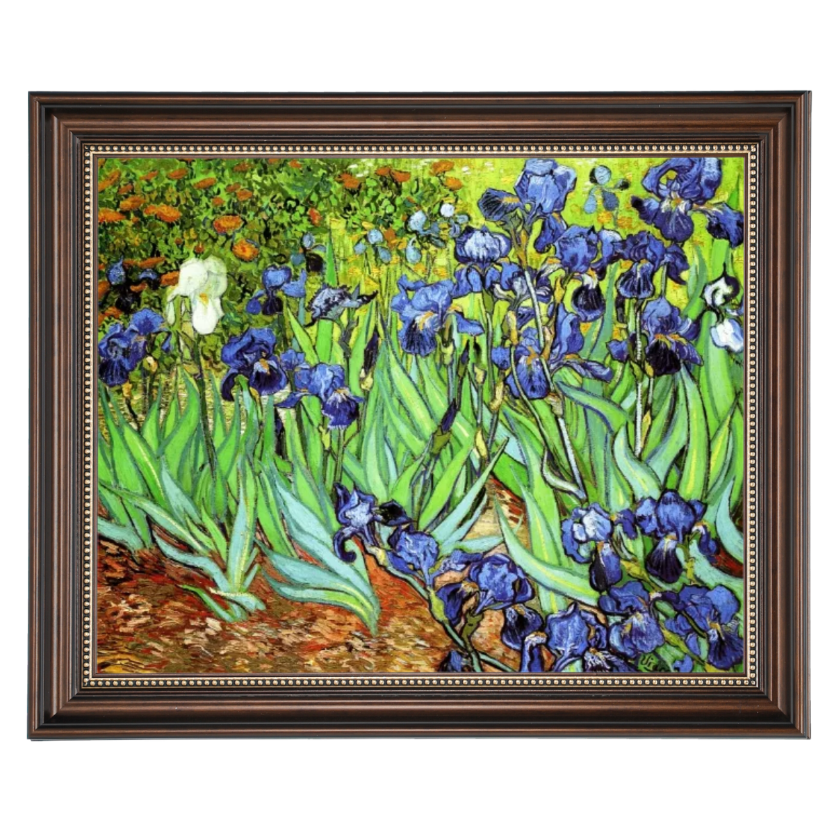 Irises II- Floral Wall Art Prints Decor For Living Room