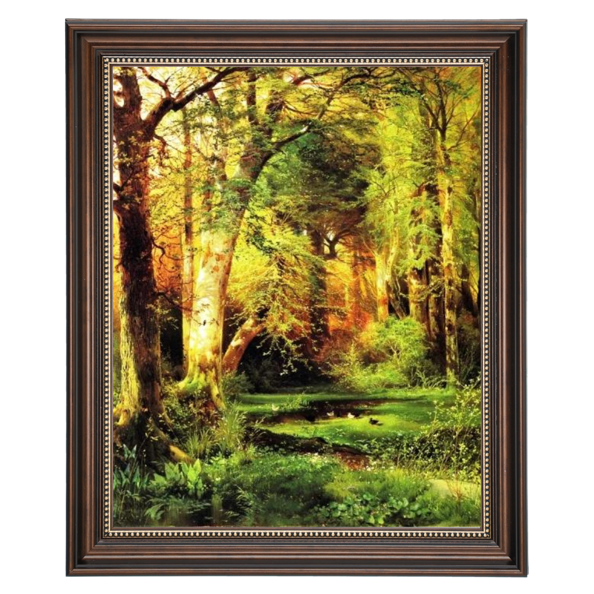 Forest Scene
