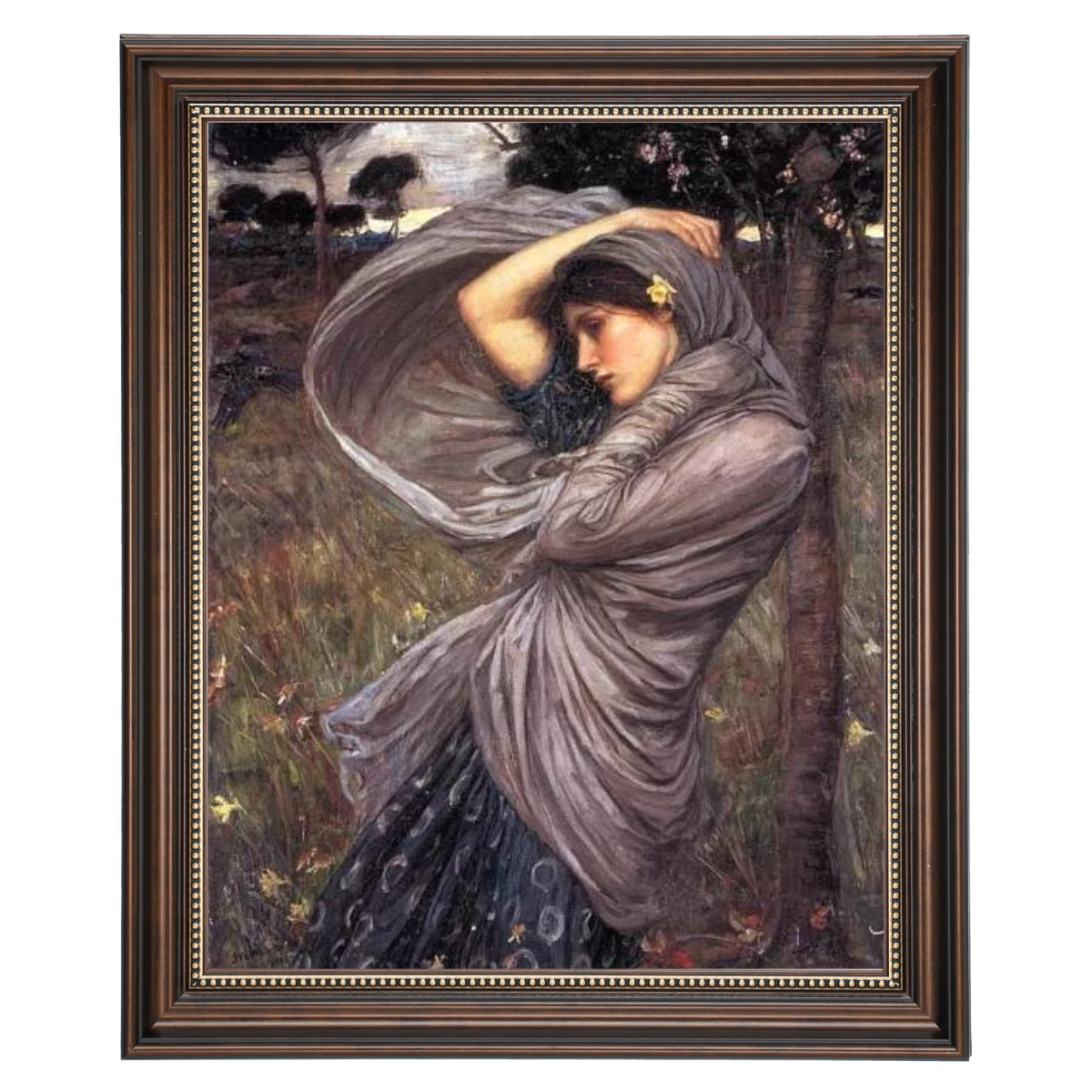 Boreas