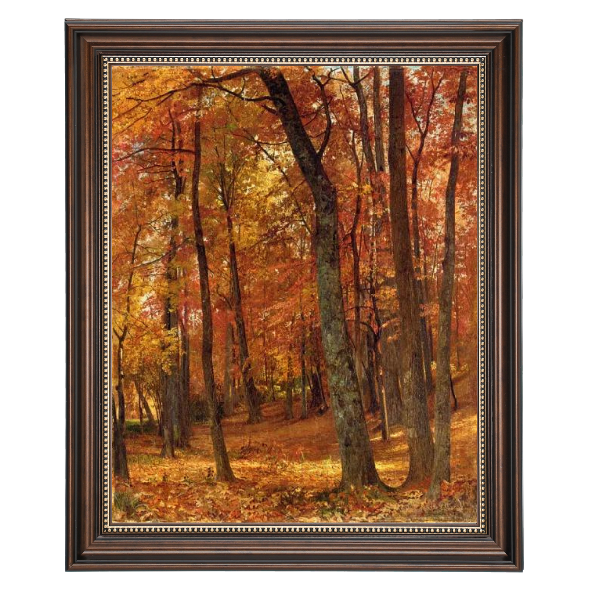A Forest Interior
