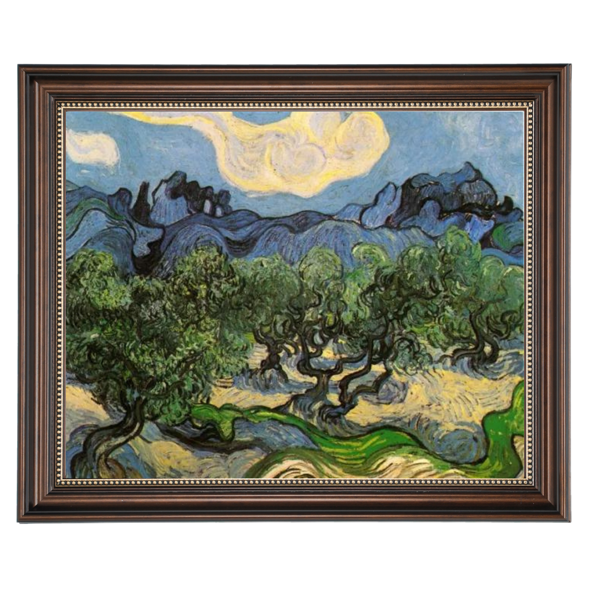 Olive Trees with the Alpilles in the Background