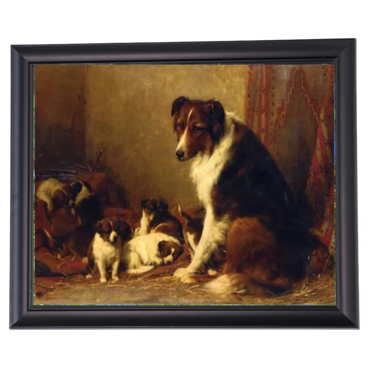 A Collie and Her Puppies