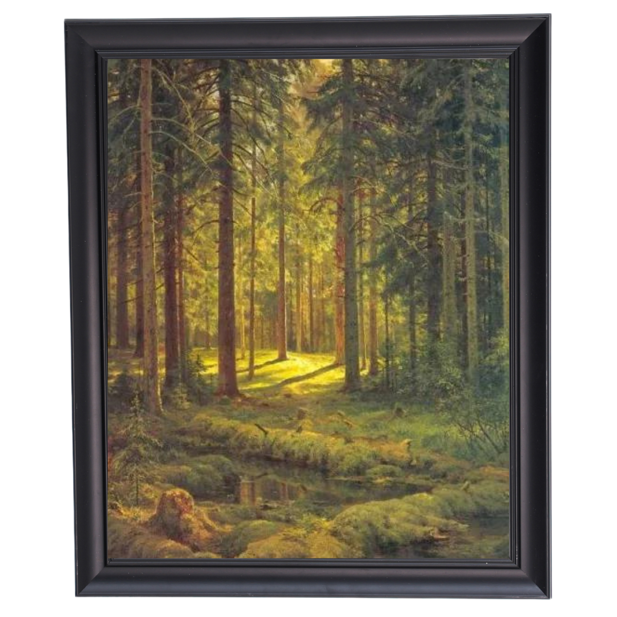 A Coniferous Forest. Sunny Day