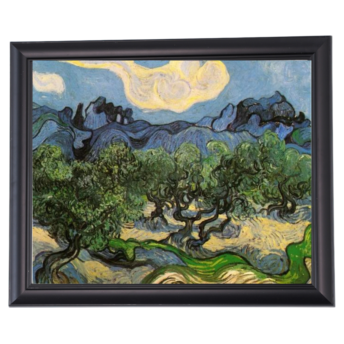 Olive Trees with the Alpilles in the Background