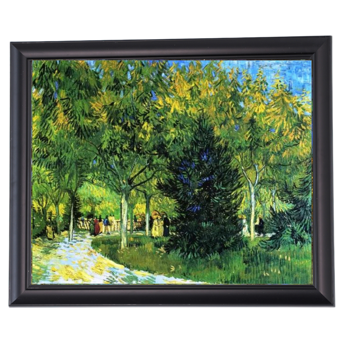 Avenue in the Park