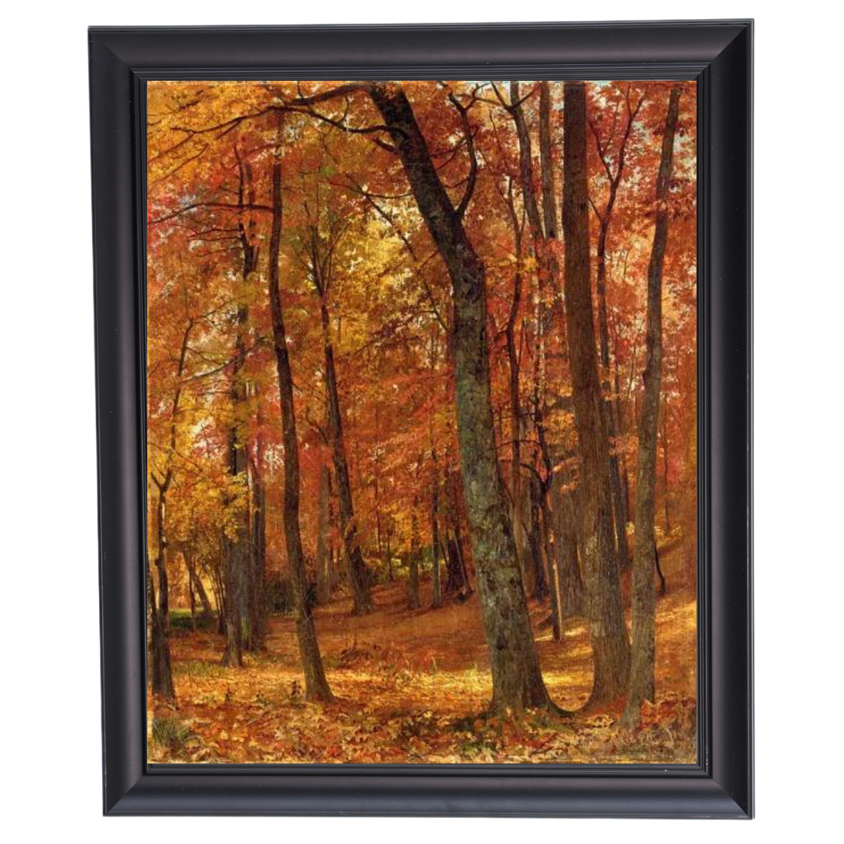 A Forest Interior