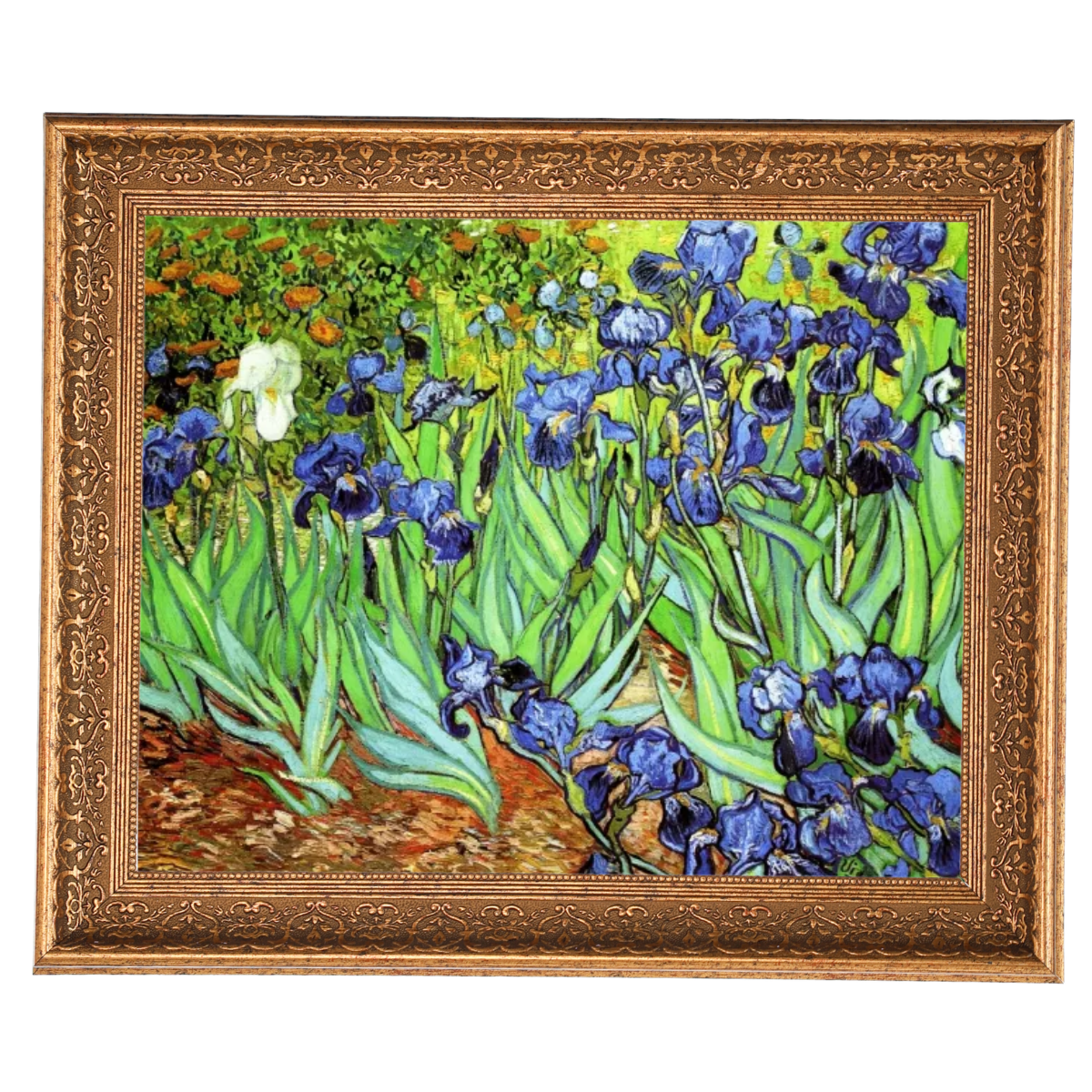 Irises II- Floral Wall Art Prints Decor For Living Room