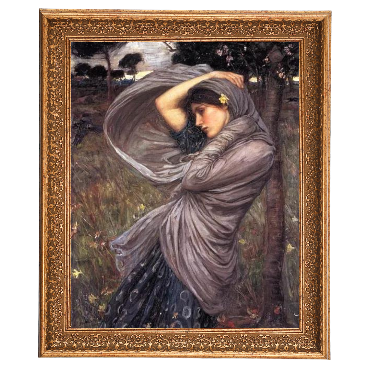 Boreas