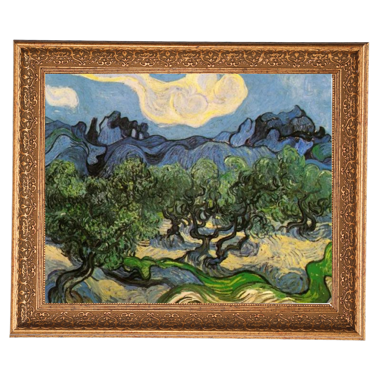 Olive Trees with the Alpilles in the Background