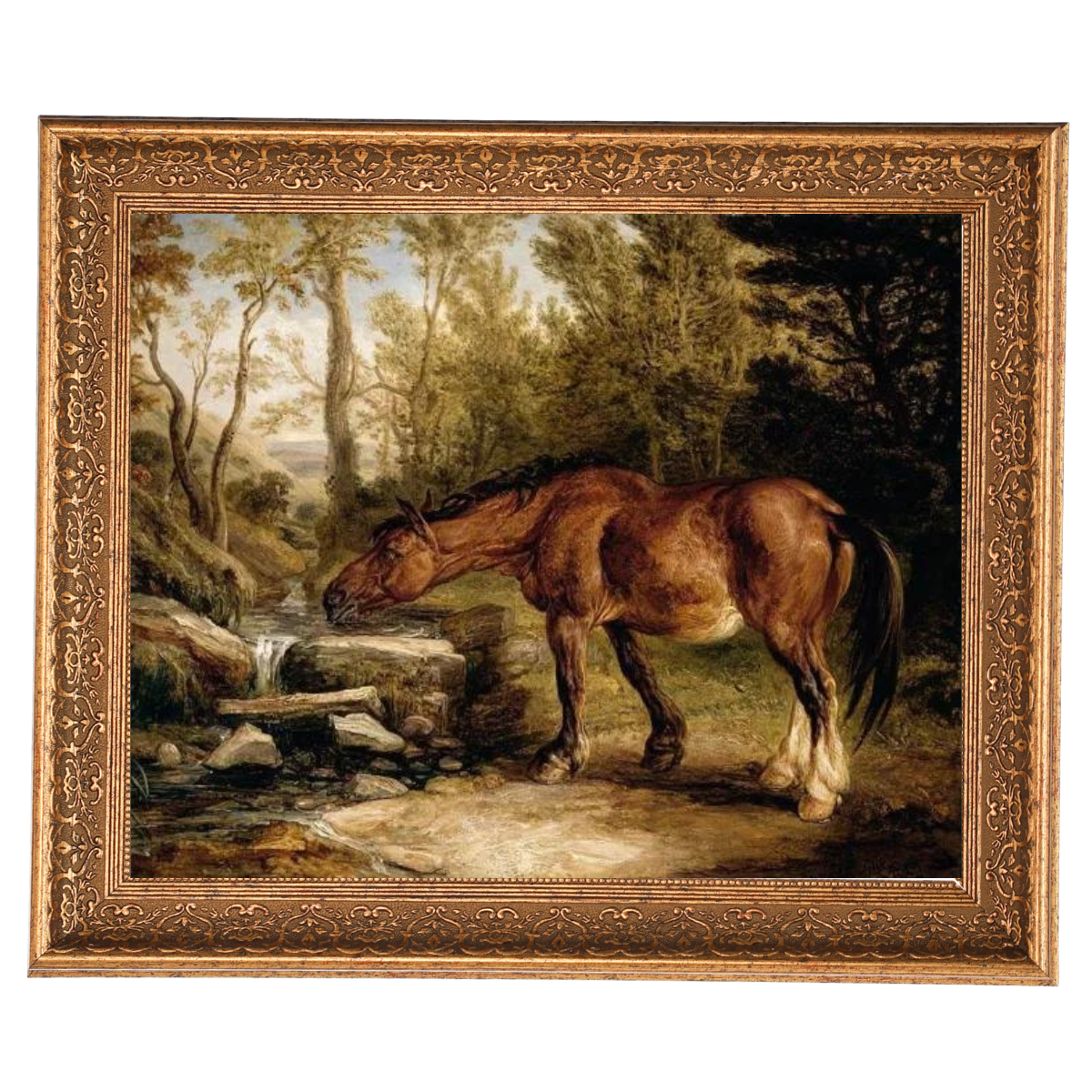 A Horse Drinking at a Stream