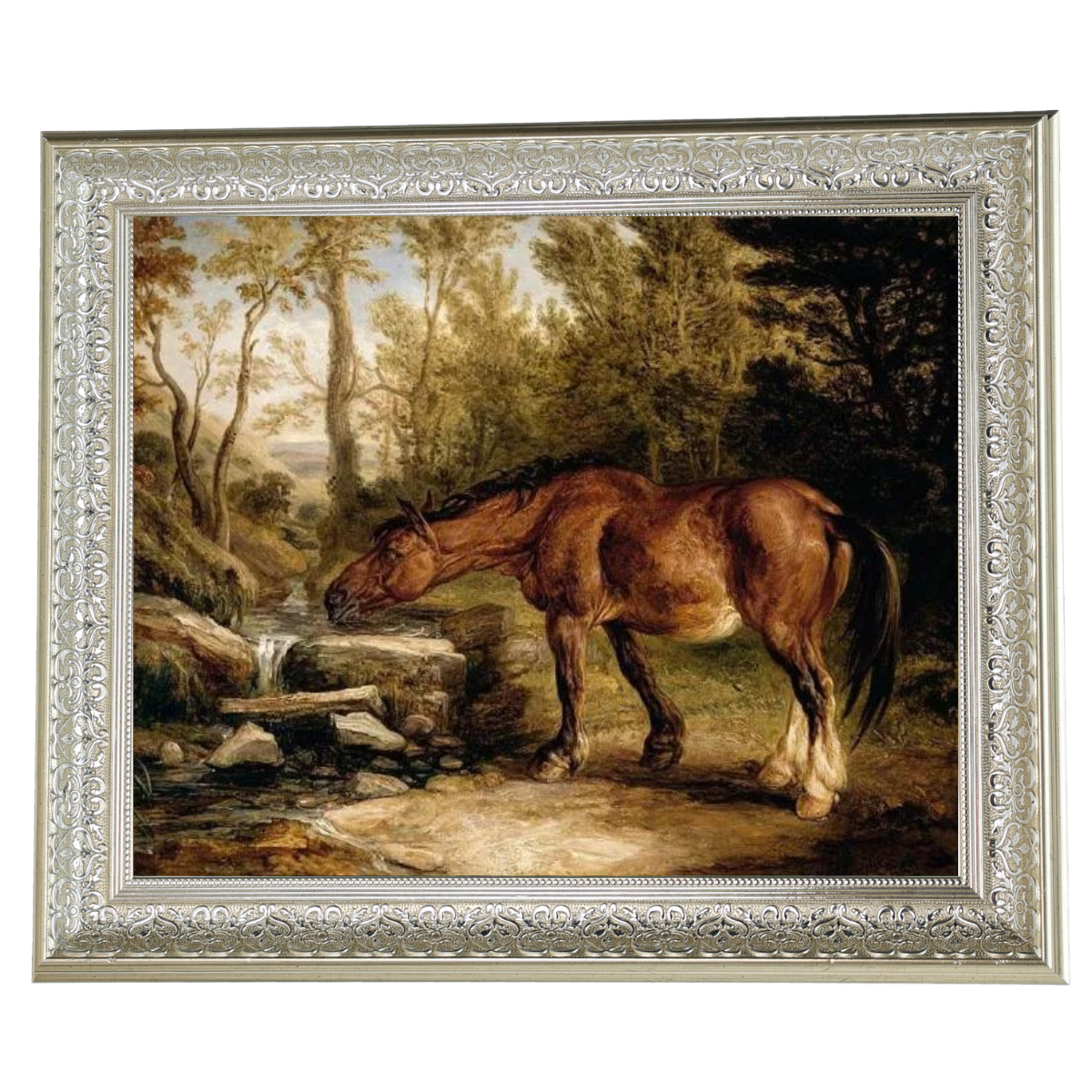 A Horse Drinking at a Stream