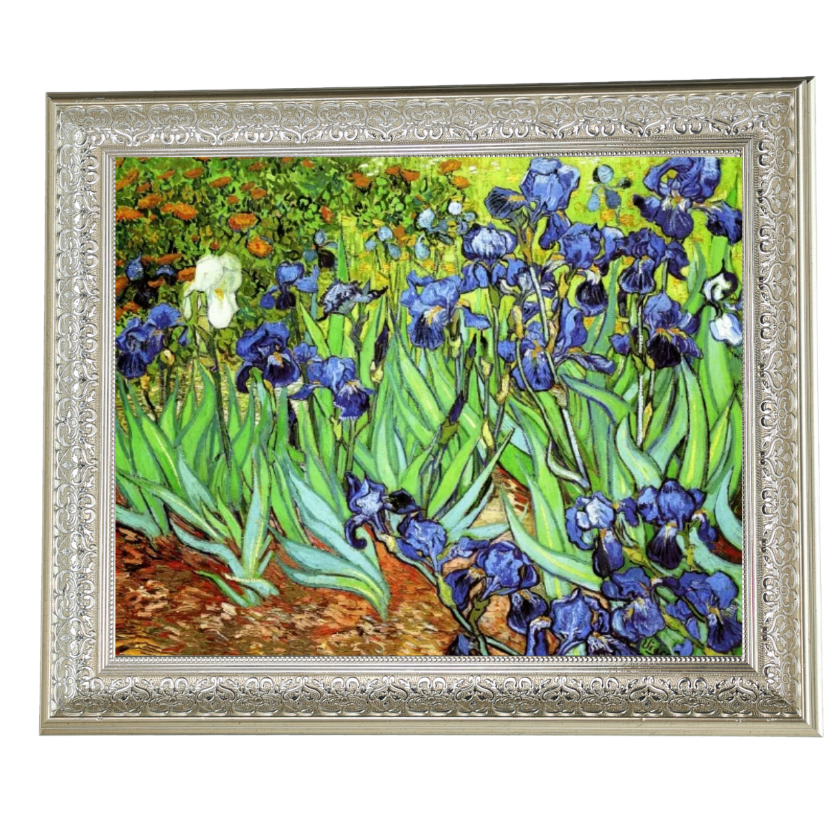 Irises II- Floral Wall Art Prints Decor For Living Room