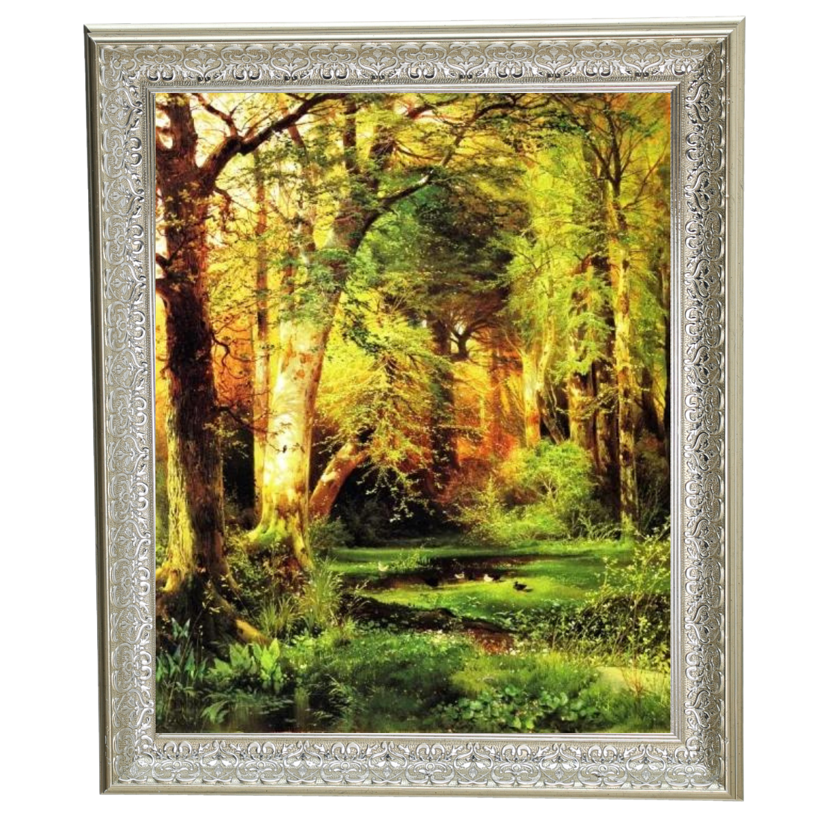 Forest Scene