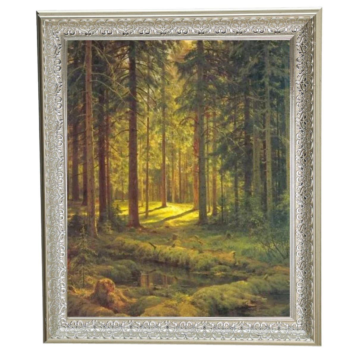 A Coniferous Forest. Sunny Day