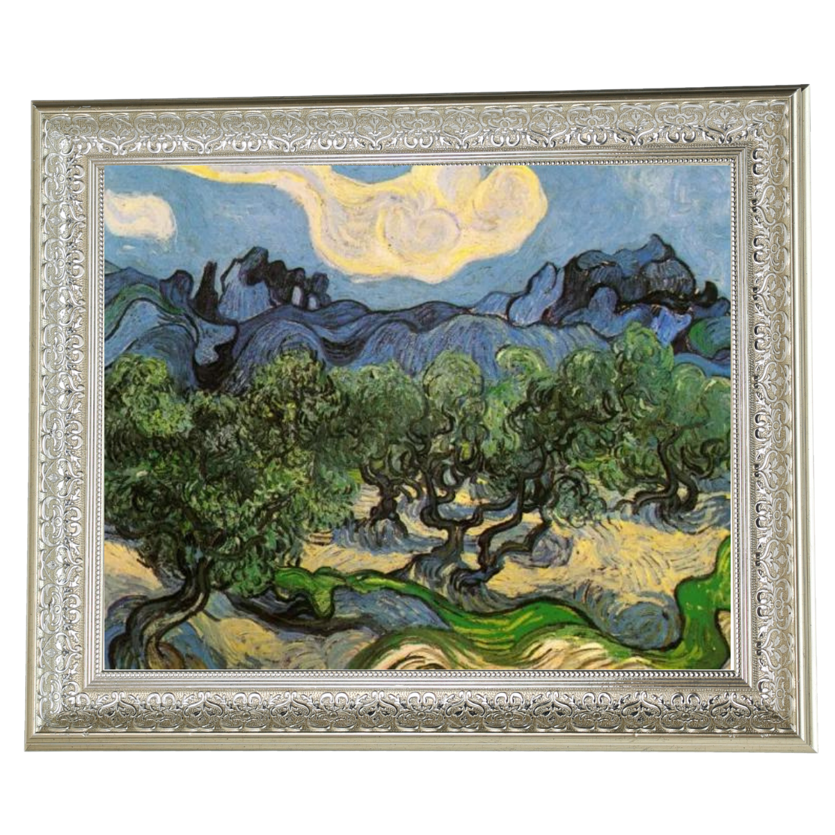 Olive Trees with the Alpilles in the Background