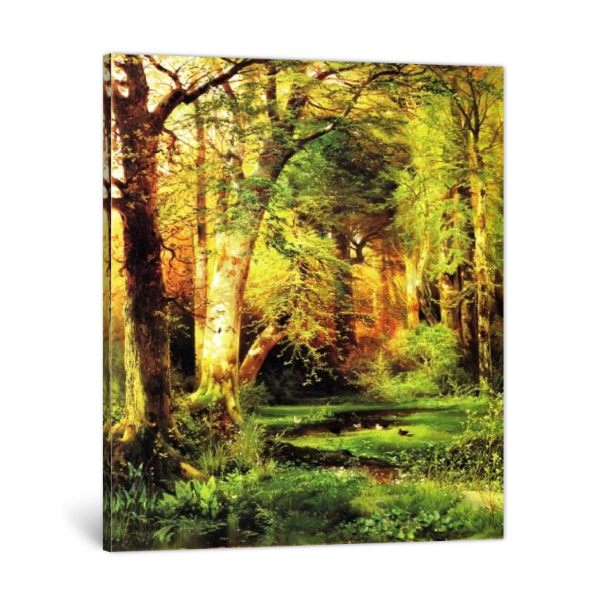 Forest Scene