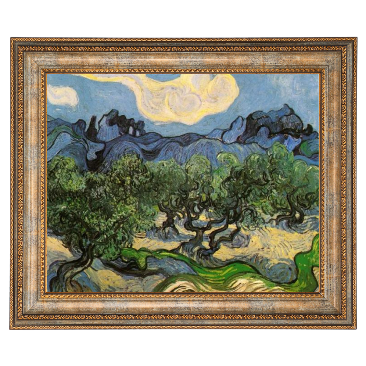 Olive Trees with the Alpilles in the Background