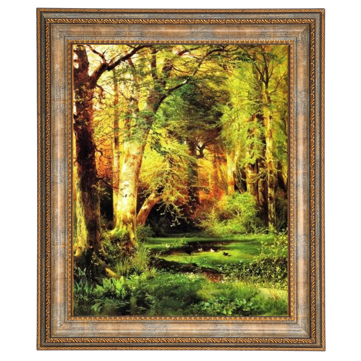 Forest Scene