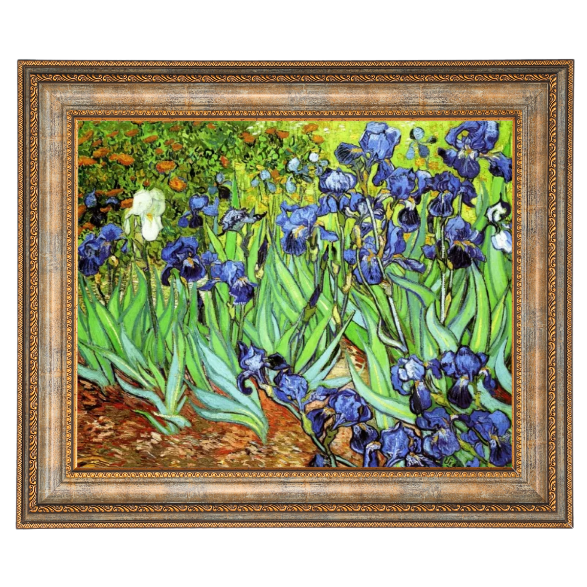Irises II- Floral Wall Art Prints Decor For Living Room
