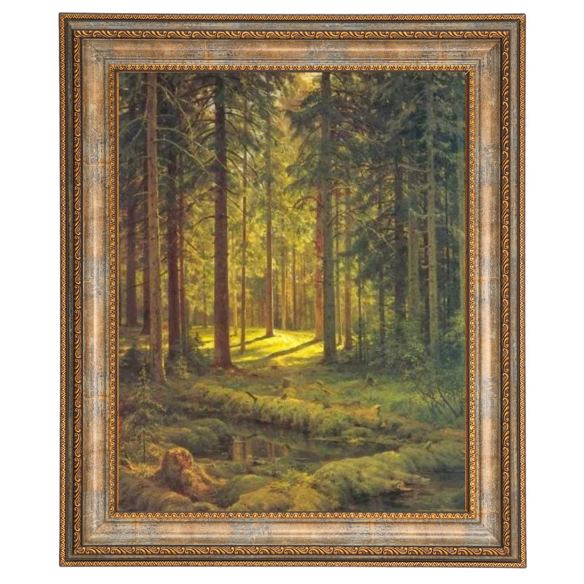 A Coniferous Forest. Sunny Day