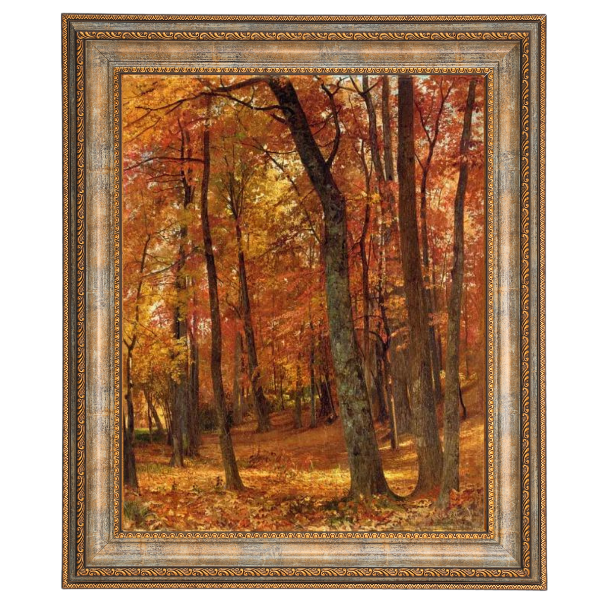 A Forest Interior