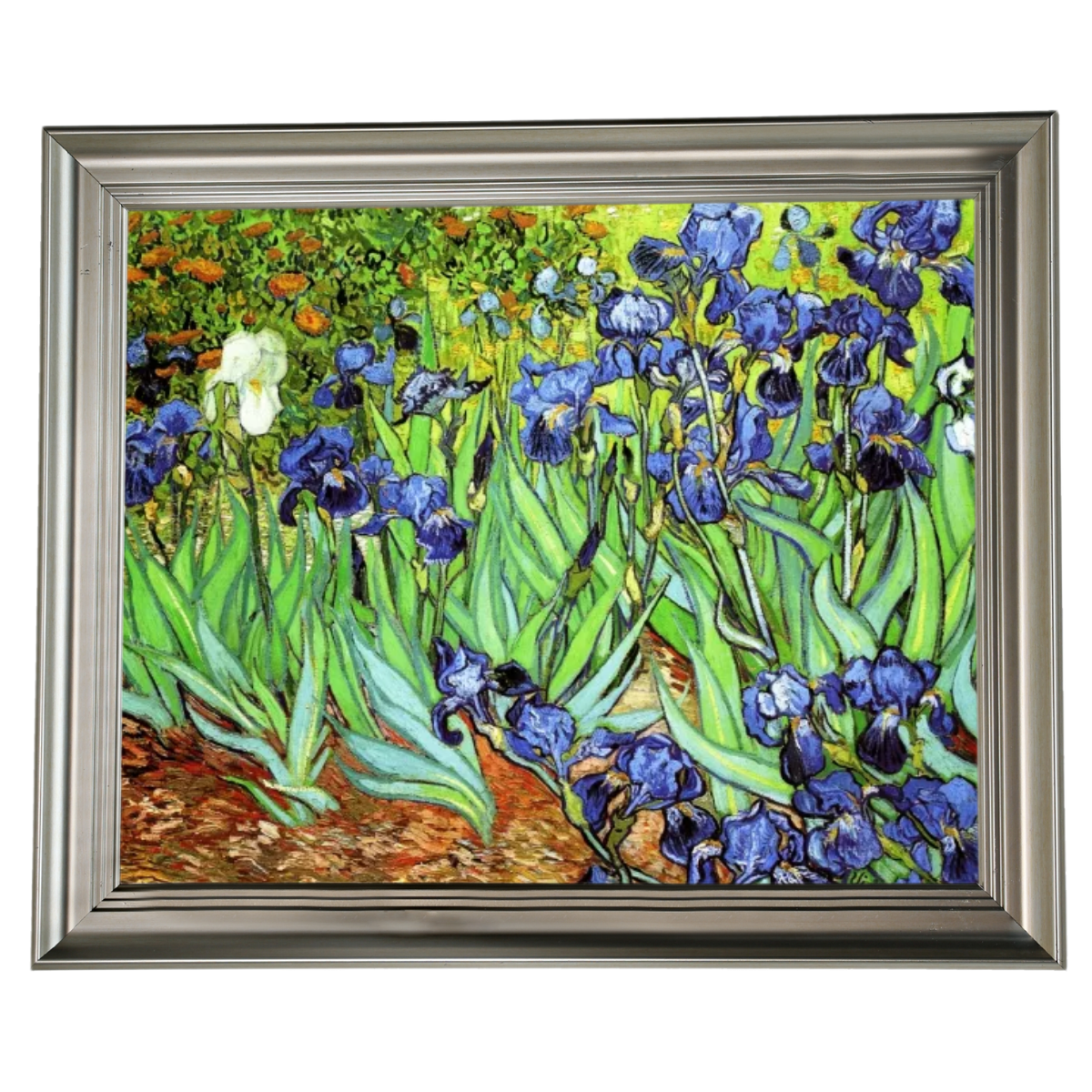 Irises II- Floral Wall Art Prints Decor For Living Room