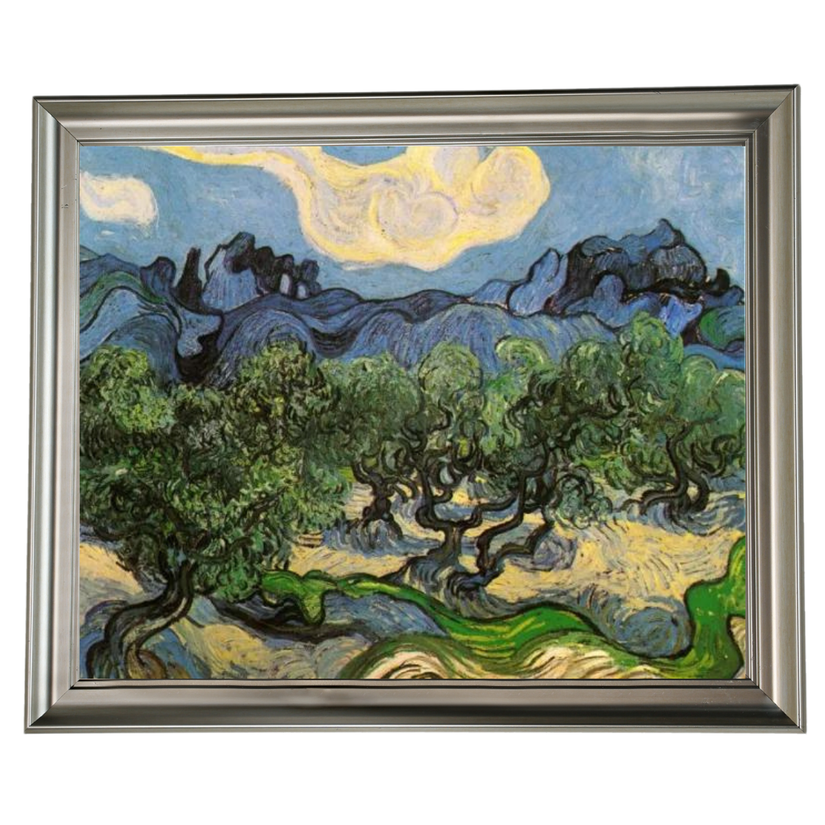 Olive Trees with the Alpilles in the Background