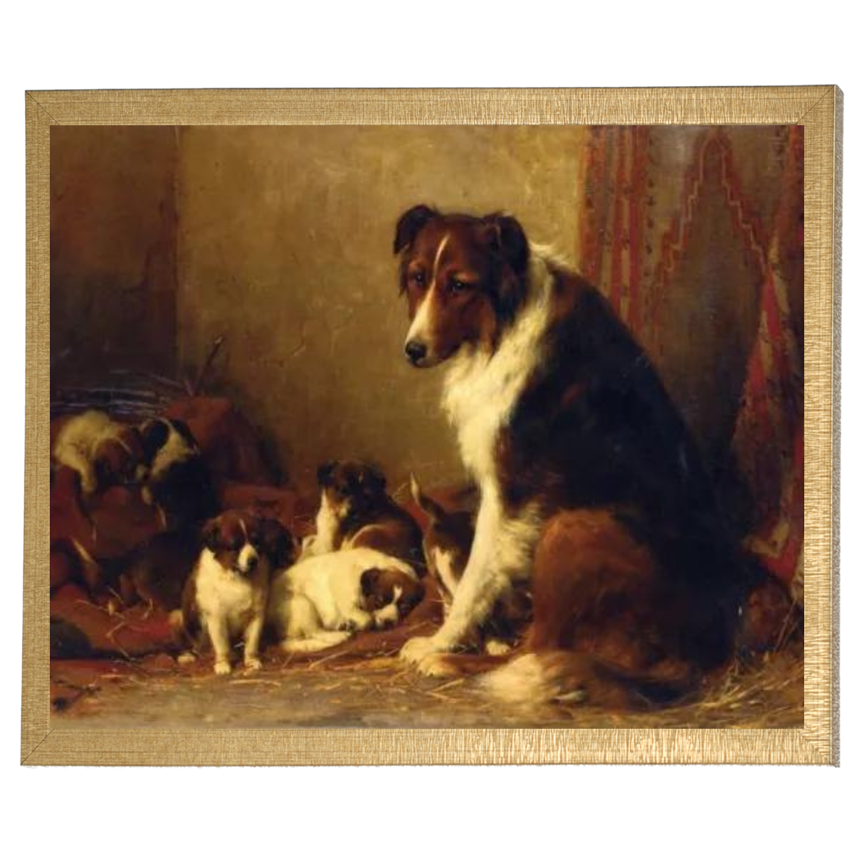 A Collie and Her Puppies