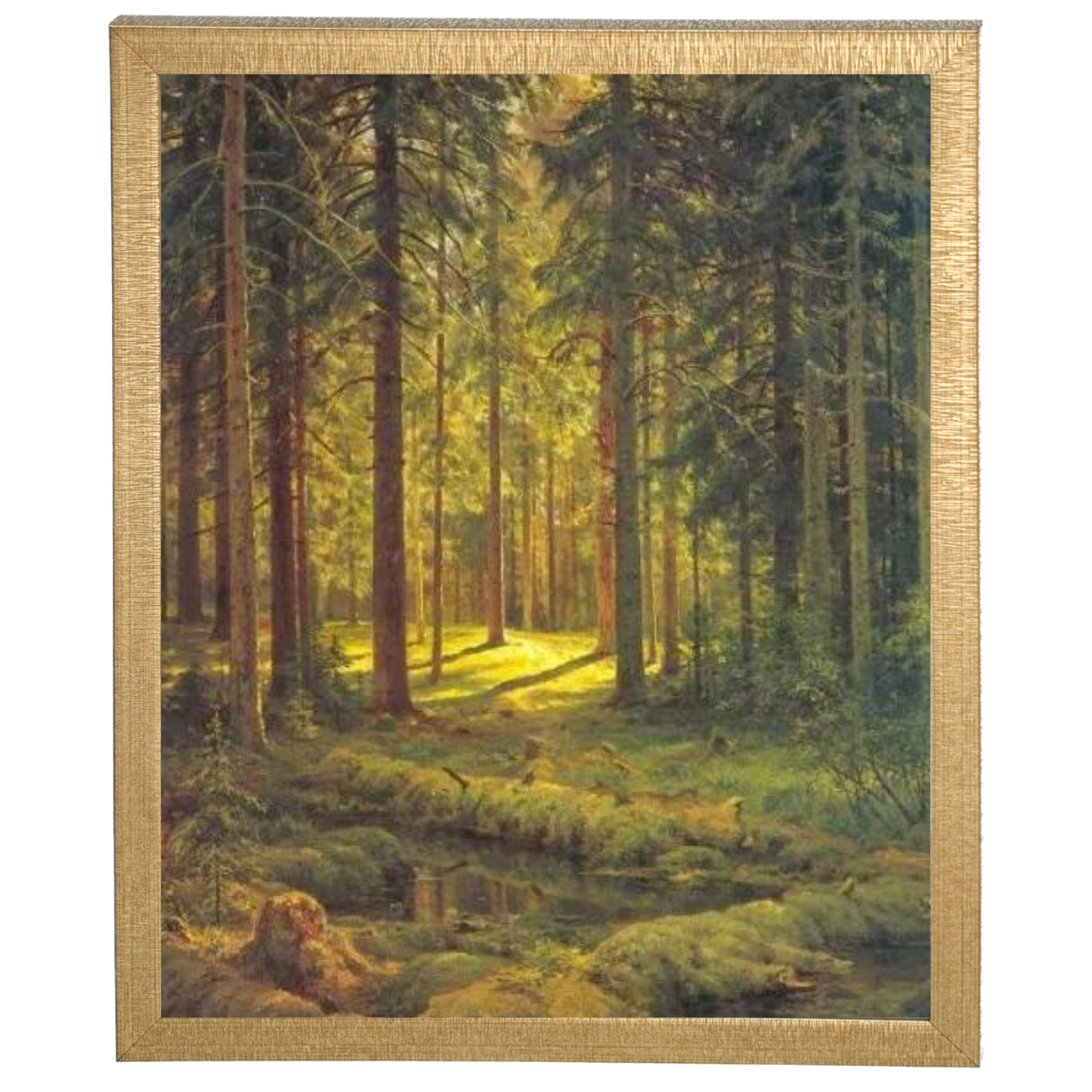 A Coniferous Forest. Sunny Day