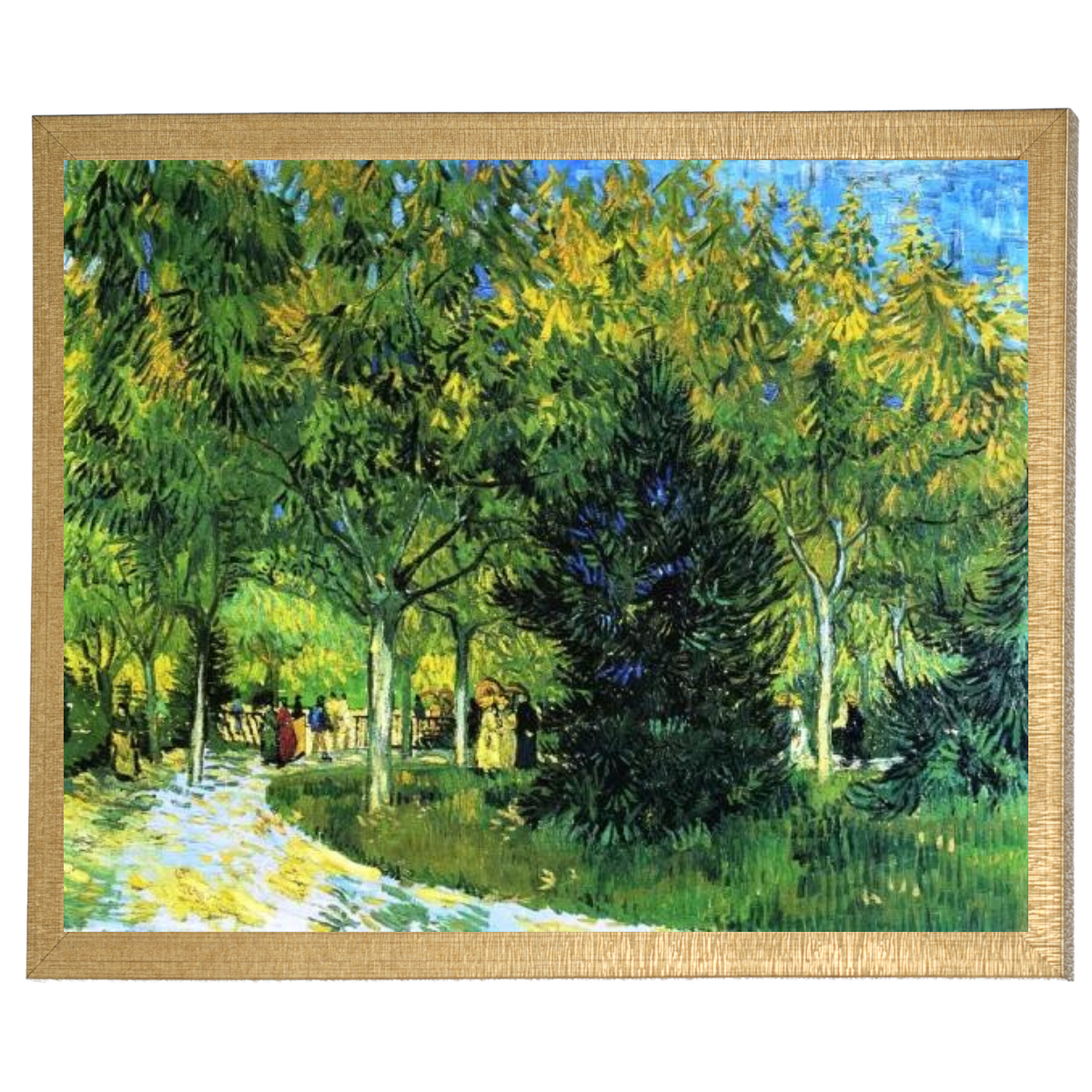 Avenue in the Park