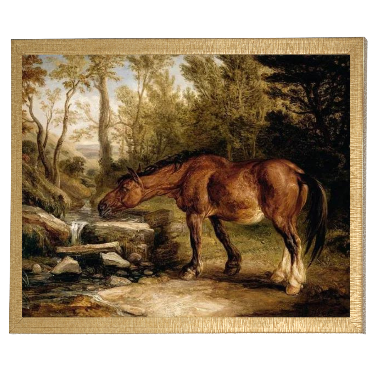A Horse Drinking at a Stream