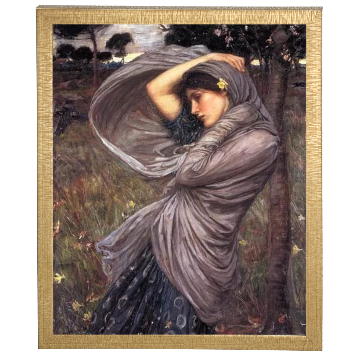 Boreas