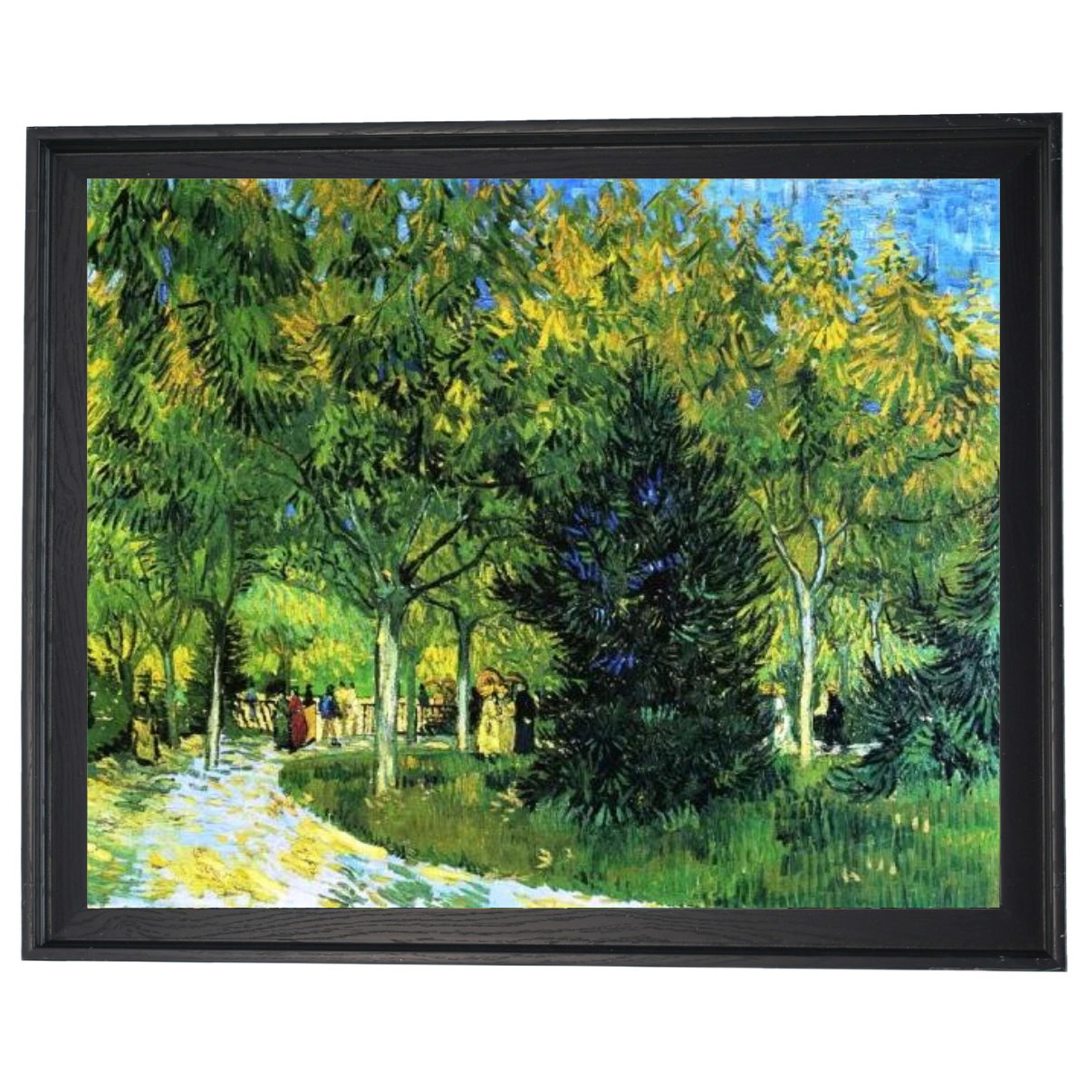 Avenue in the Park