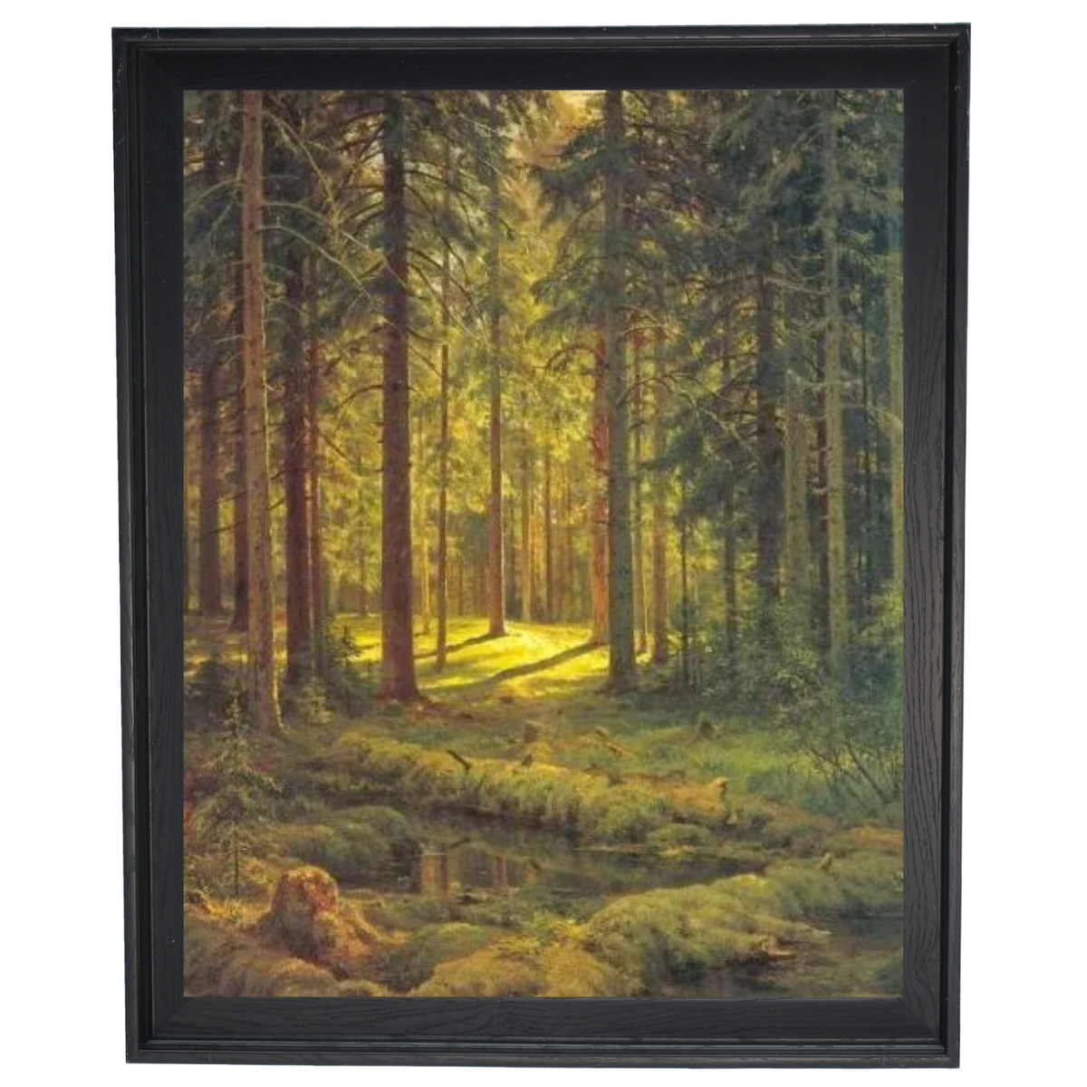 A Coniferous Forest. Sunny Day
