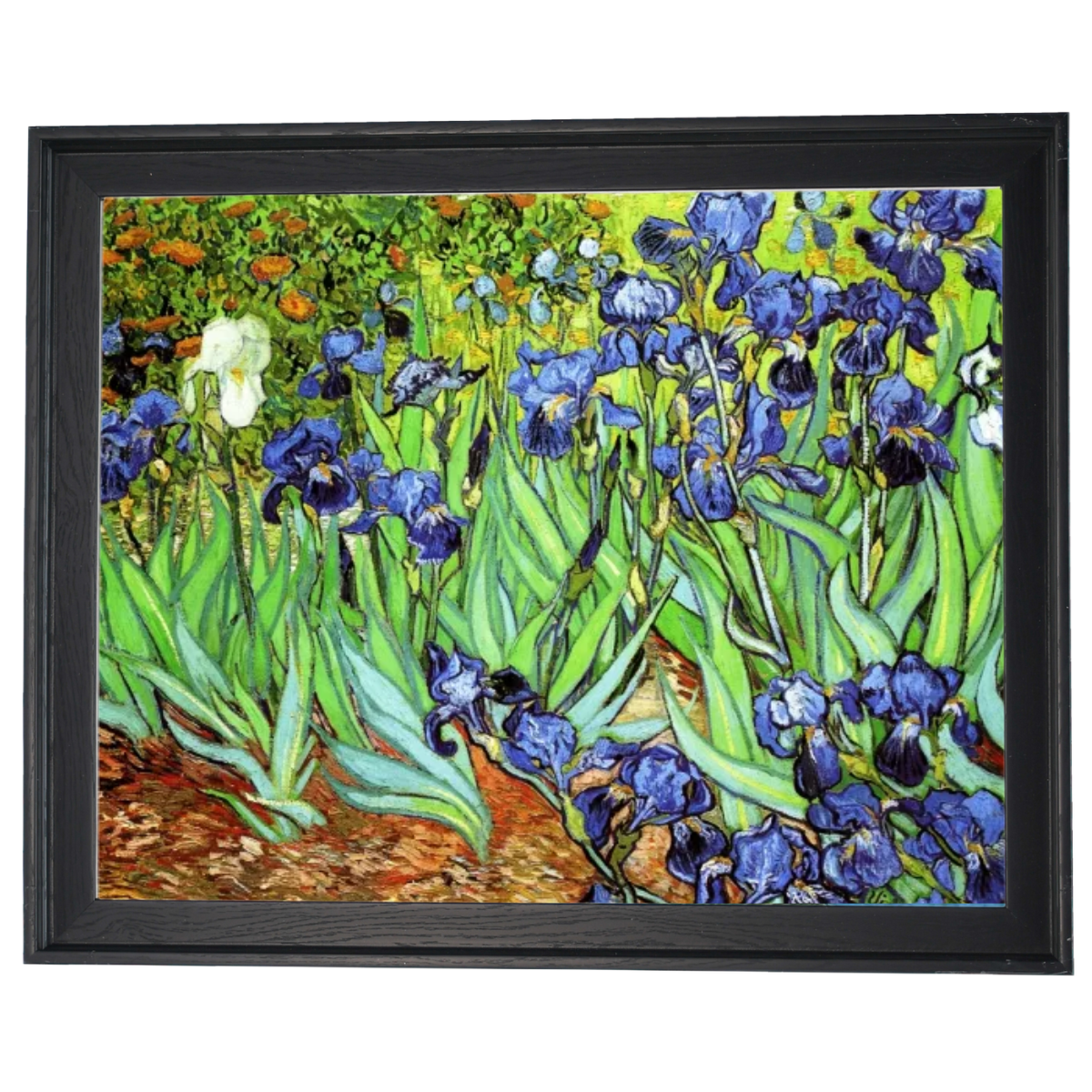 Irises II- Floral Wall Art Prints Decor For Living Room