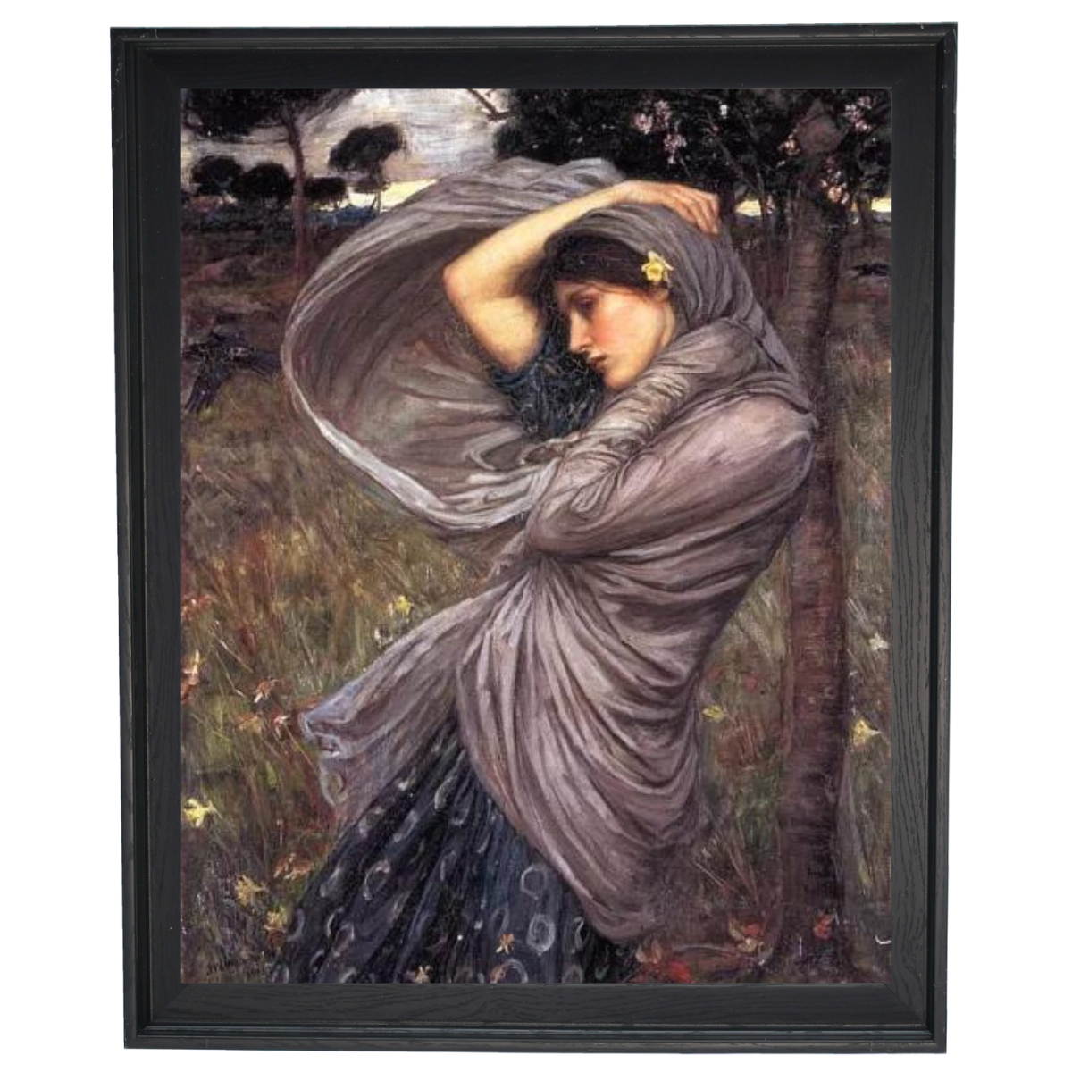 Boreas