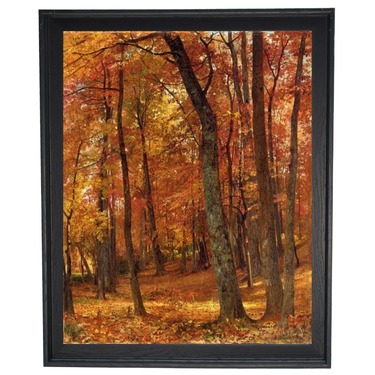 A Forest Interior