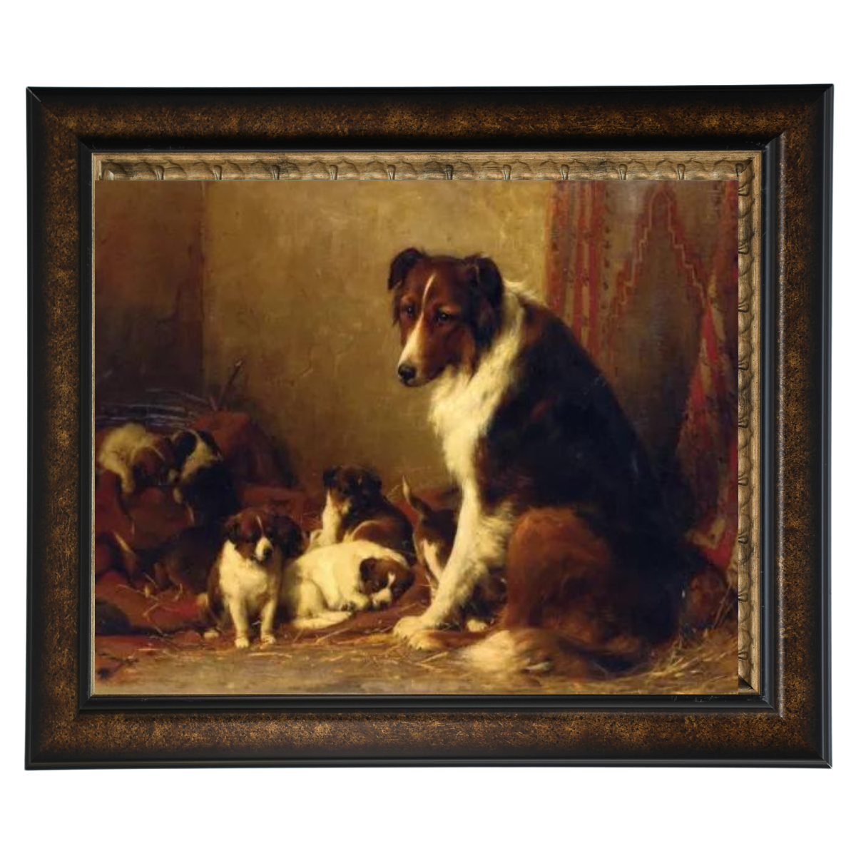 A Collie and Her Puppies