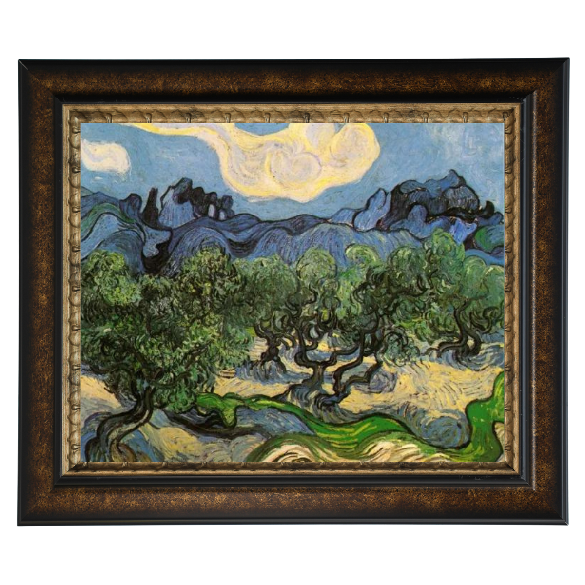 Olive Trees with the Alpilles in the Background