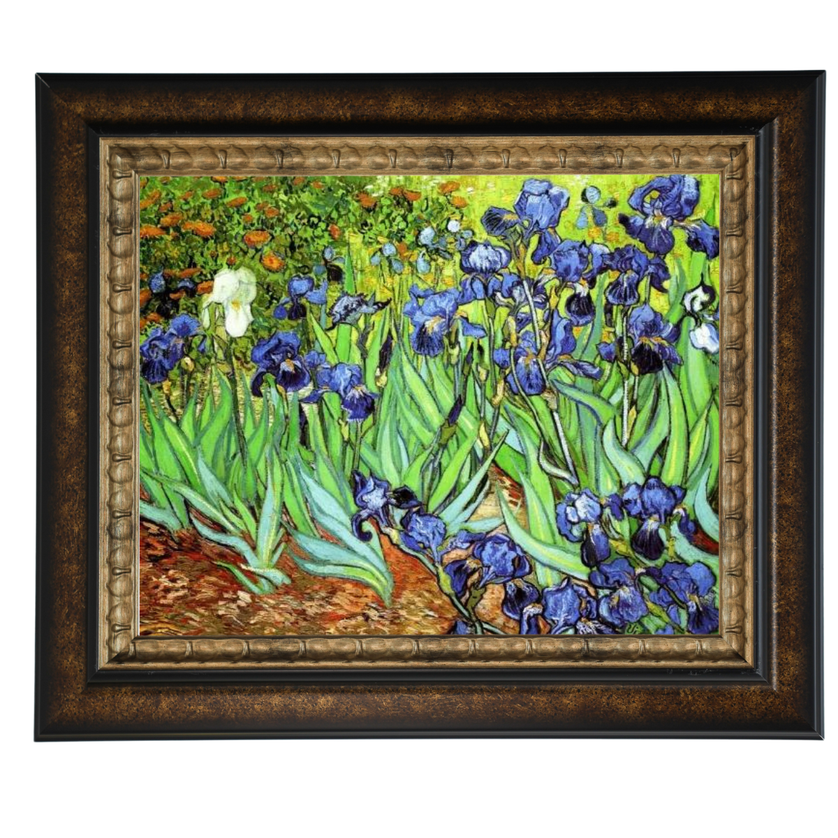 Irises II- Floral Wall Art Prints Decor For Living Room
