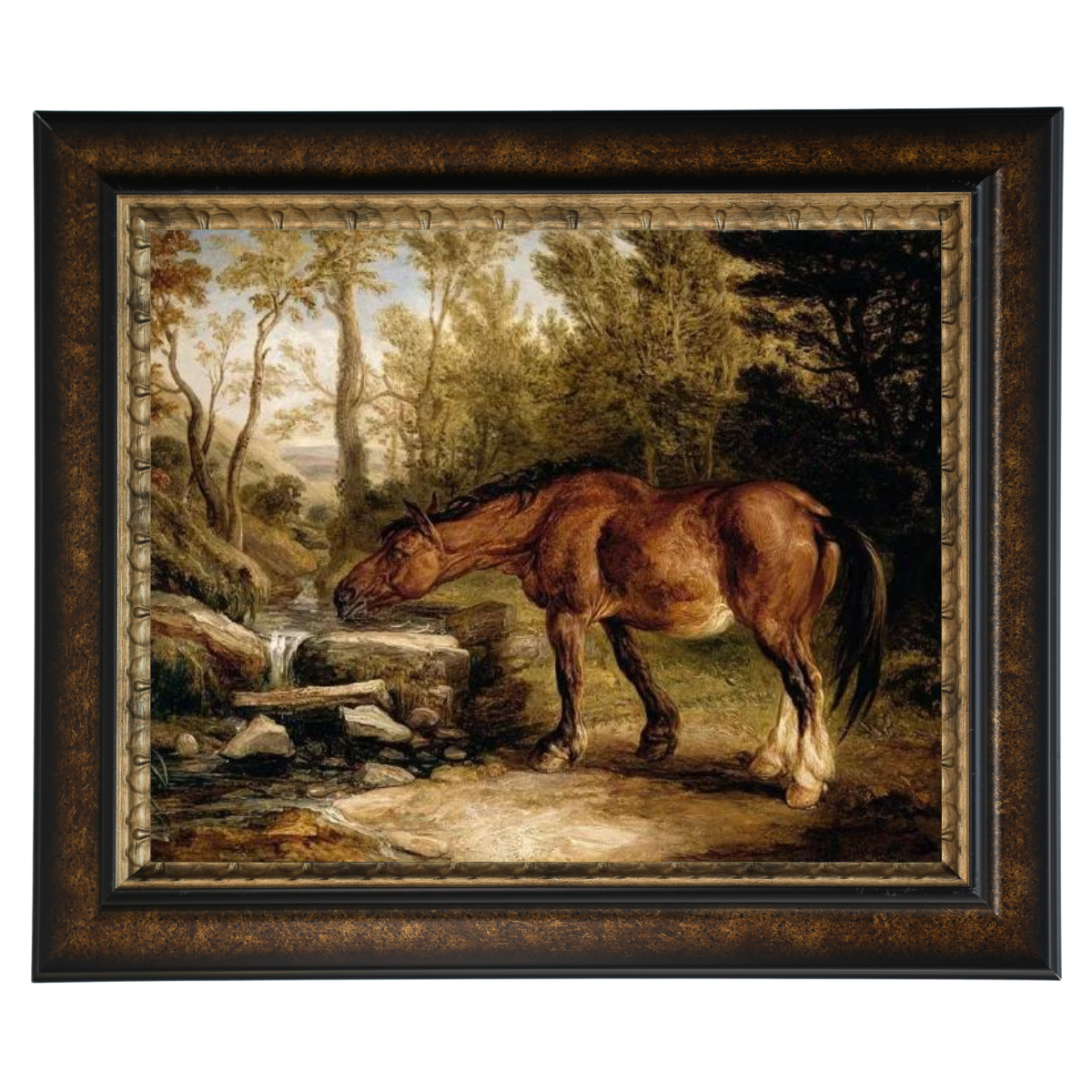 A Horse Drinking at a Stream
