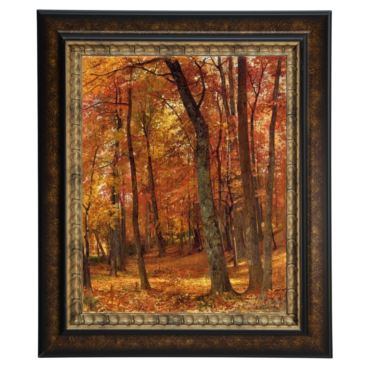 A Forest Interior