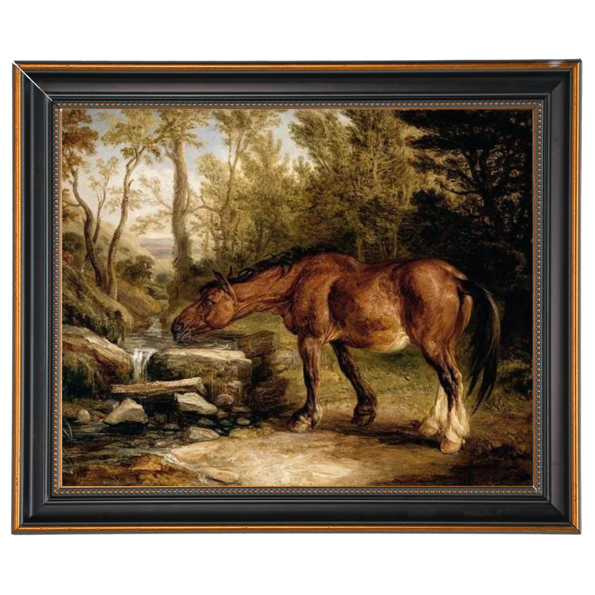 A Horse Drinking at a Stream