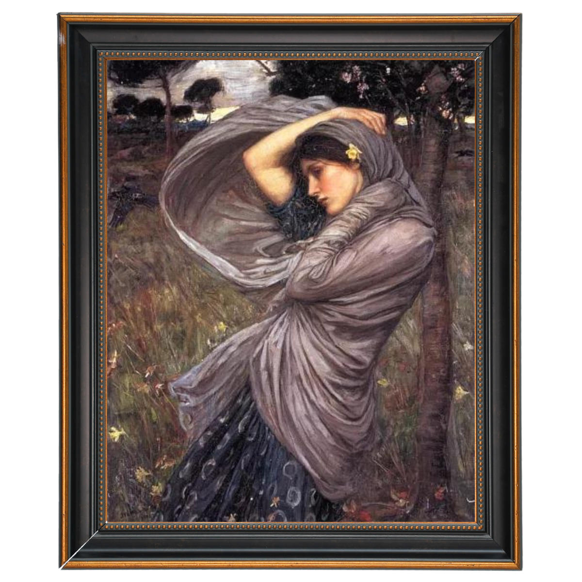 Boreas