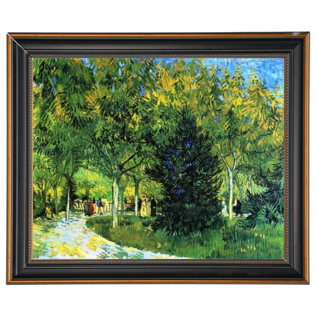 Avenue in the Park