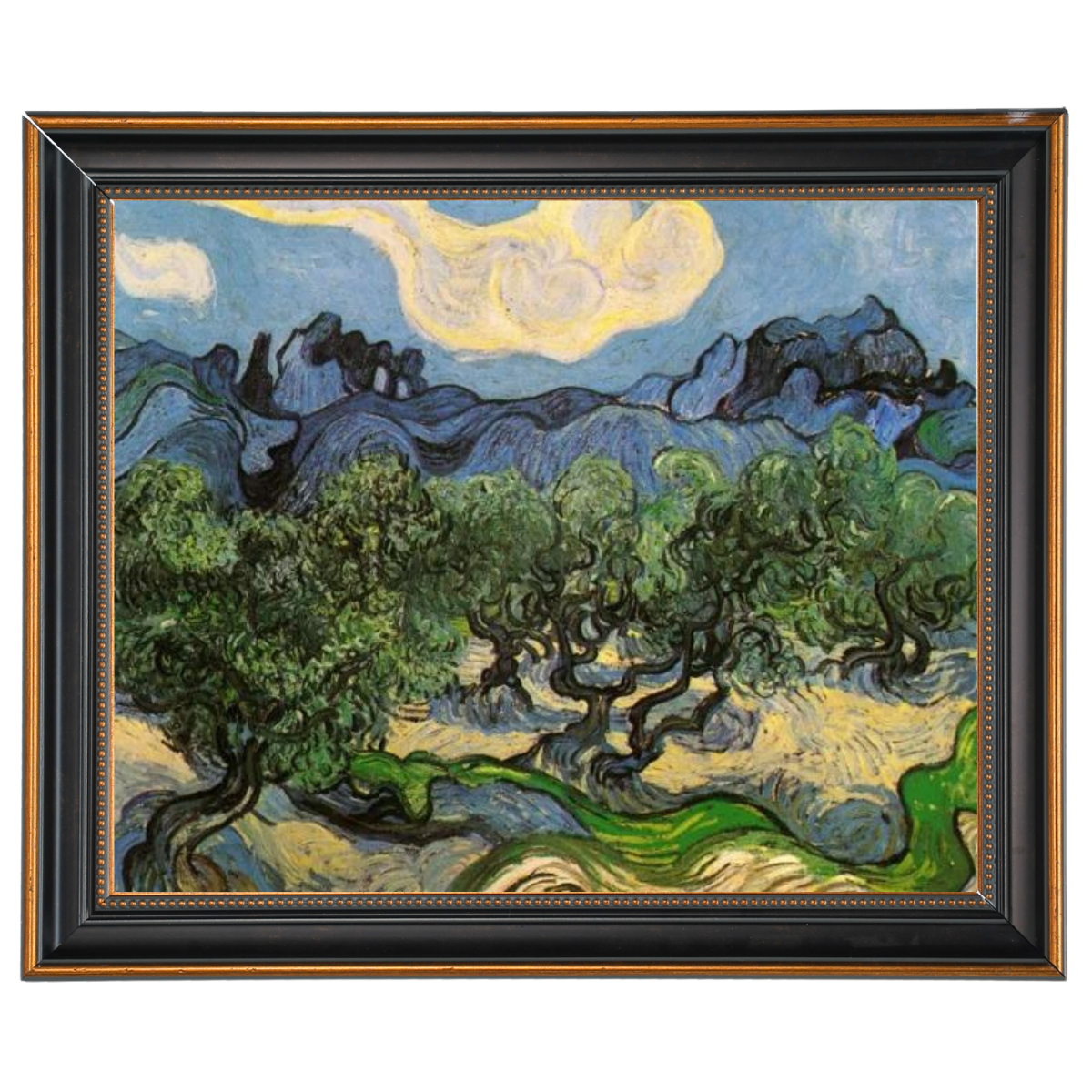 Olive Trees with the Alpilles in the Background